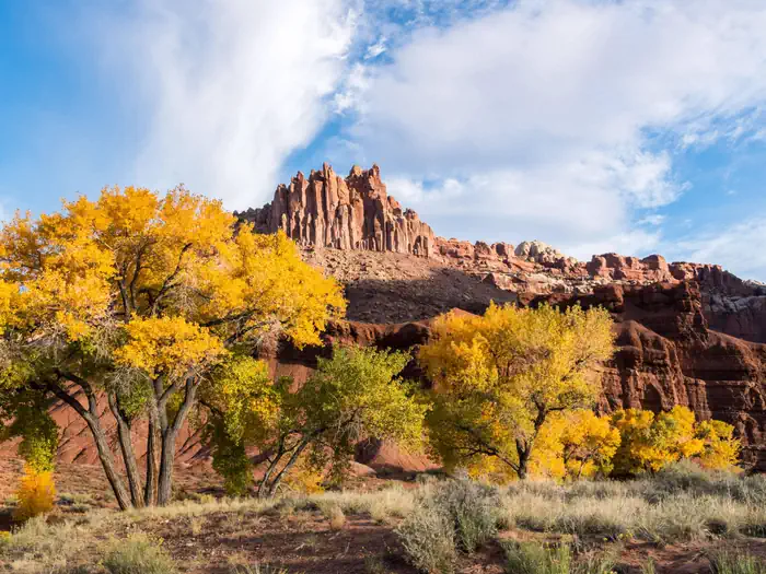 FRUITA CAMPGROUND photo 5
