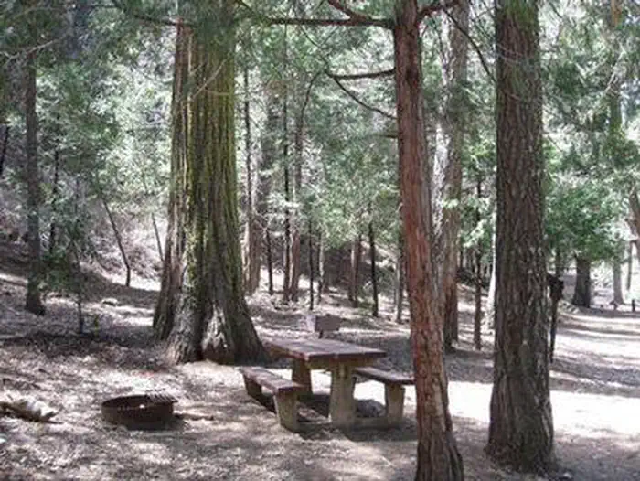 FRY CREEK CAMPGROUND photo 2