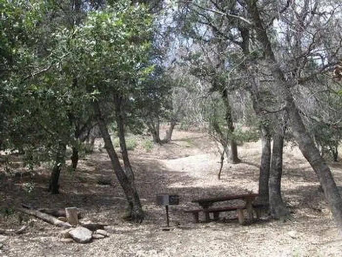 FRY CREEK CAMPGROUND photo 3
