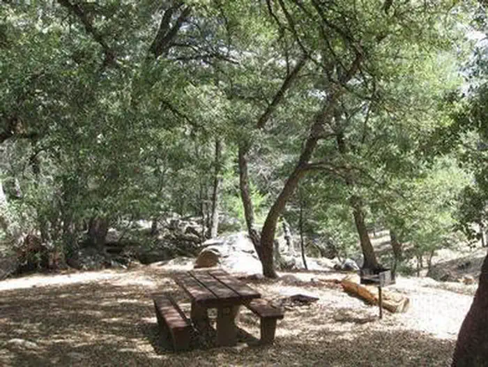 FRY CREEK CAMPGROUND photo 4
