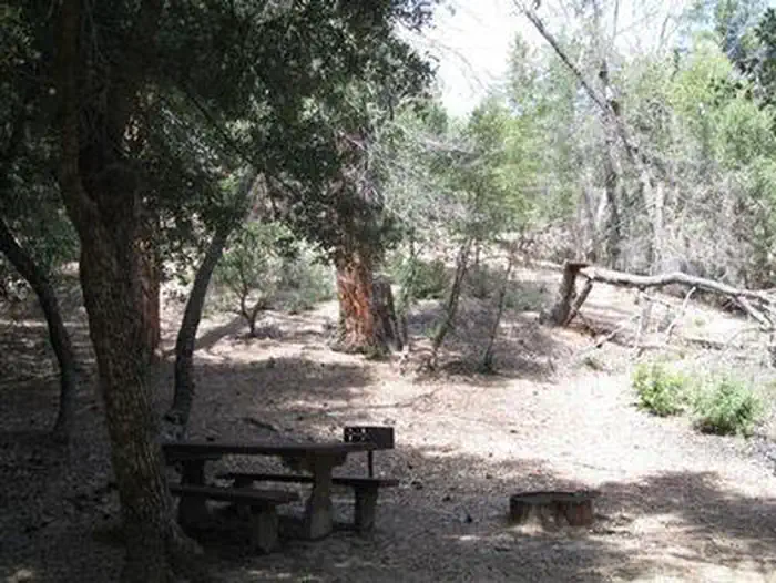 FRY CREEK CAMPGROUND photo 5