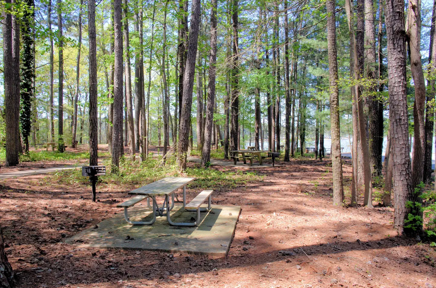 GALT'S FERRY DAY USE AREA (GA) photo 4
