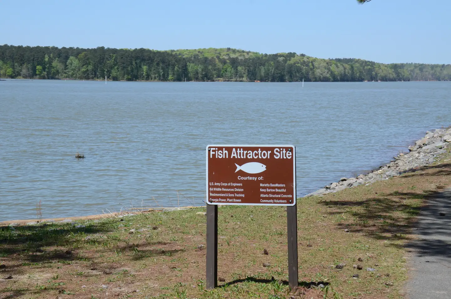 GALT'S FERRY DAY USE AREA (GA) photo 5