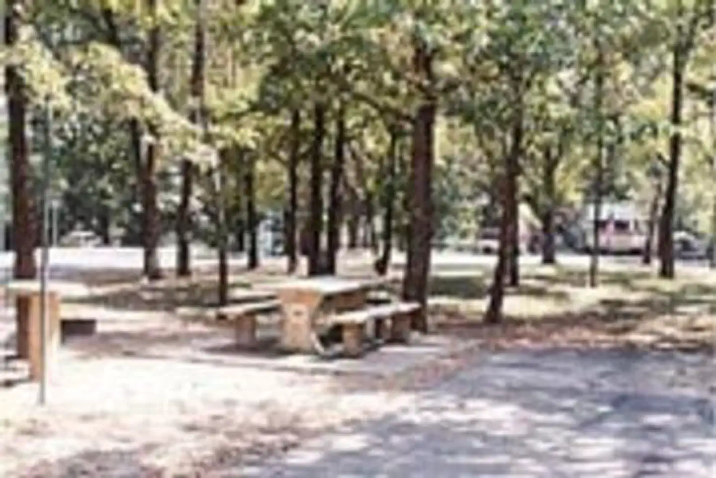 GAMALIEL photo 2