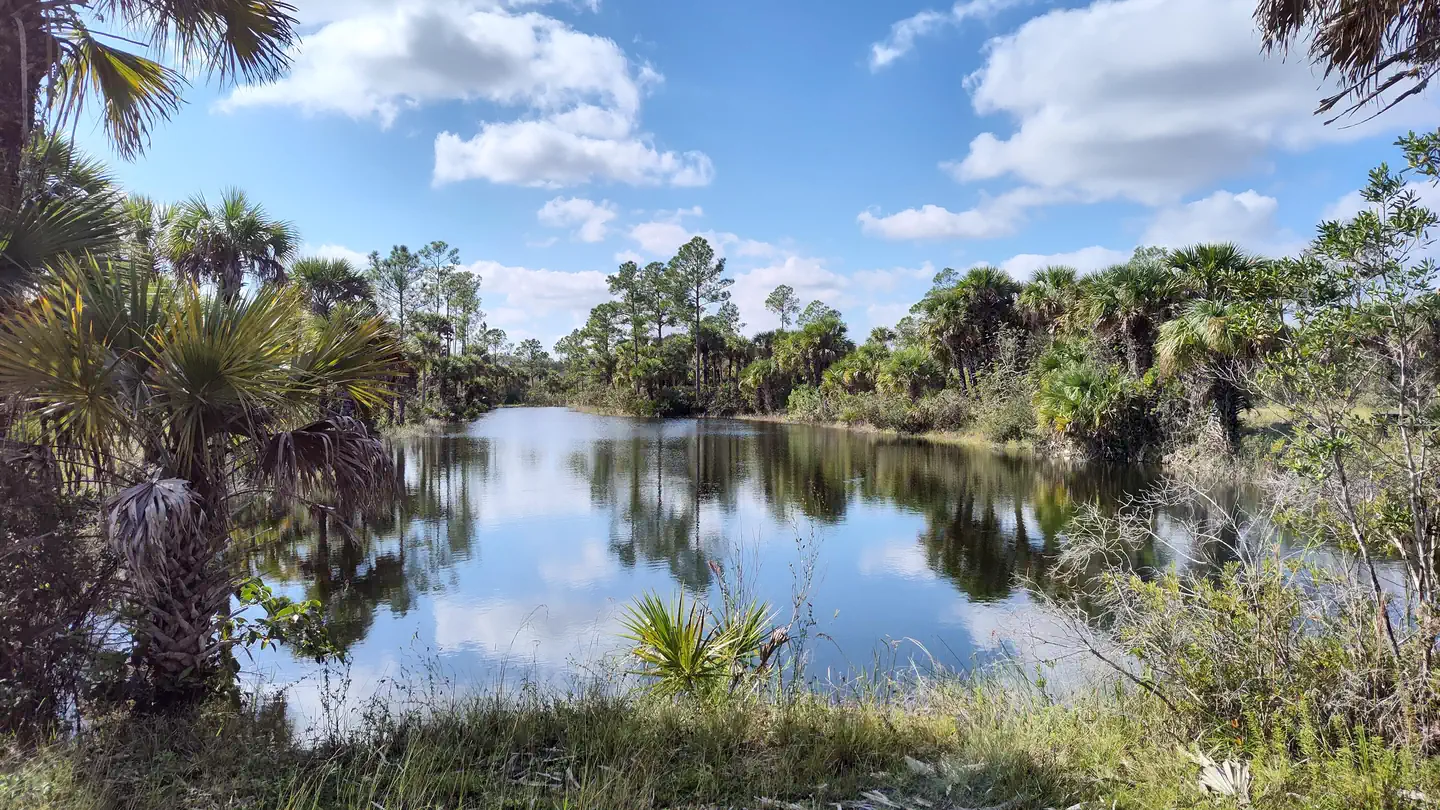 Gator Head Campground photo