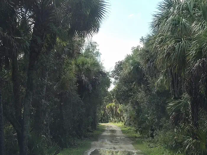 Gator Head Campground photo 2