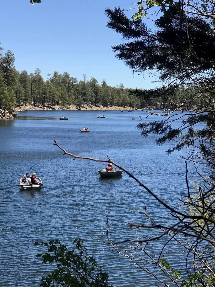 GENTRY GROUP CAMPGROUND photo 3