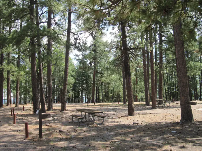 GENTRY GROUP CAMPGROUND photo 4