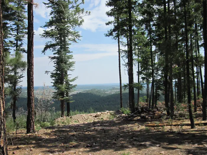 GENTRY GROUP CAMPGROUND photo 5