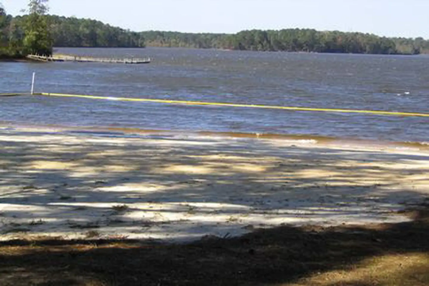 GILL POINT photo 3