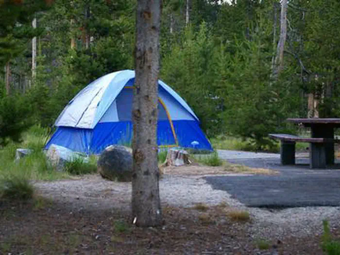 GLACIER VIEW CAMPGROUND photo 2