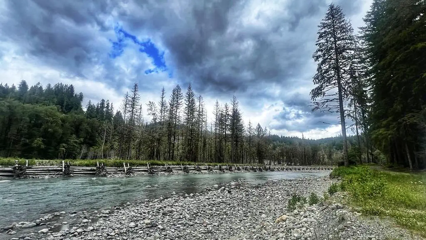 Gold Basin Campground photo