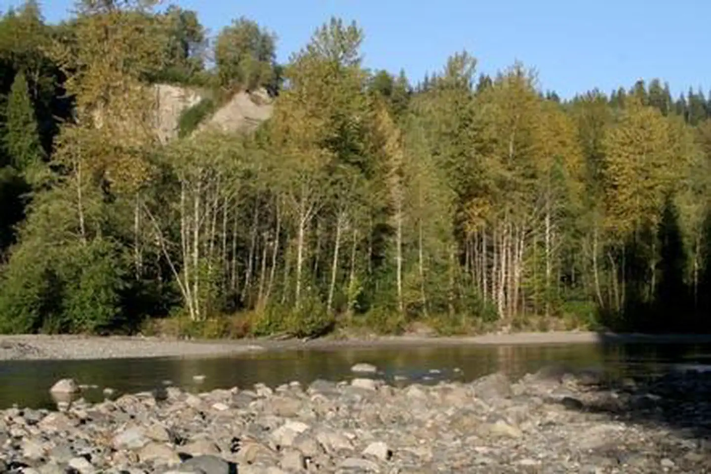 Gold Basin Campground photo 2