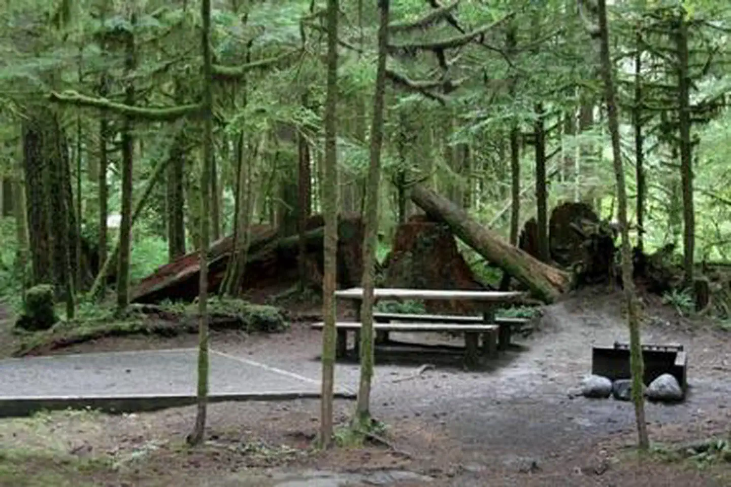 Gold Basin Campground photo 4