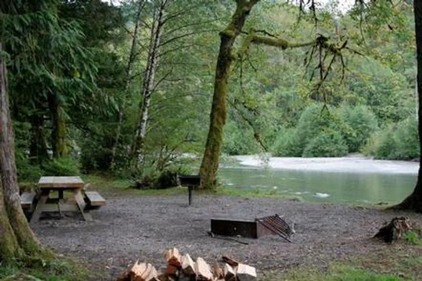 Gold Basin Campground photo 5