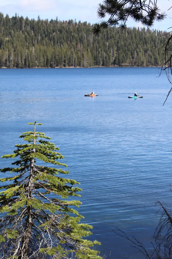 Gold Lake 4 X 4 Campground photo 2