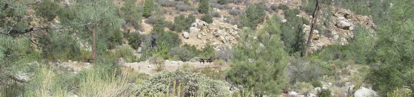 GOLDLEDGE CAMPGROUND photo