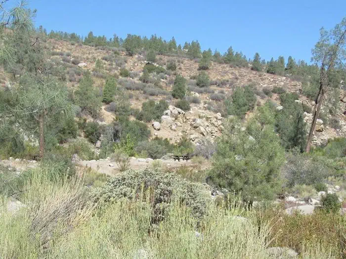 GOLDLEDGE CAMPGROUND photo 3