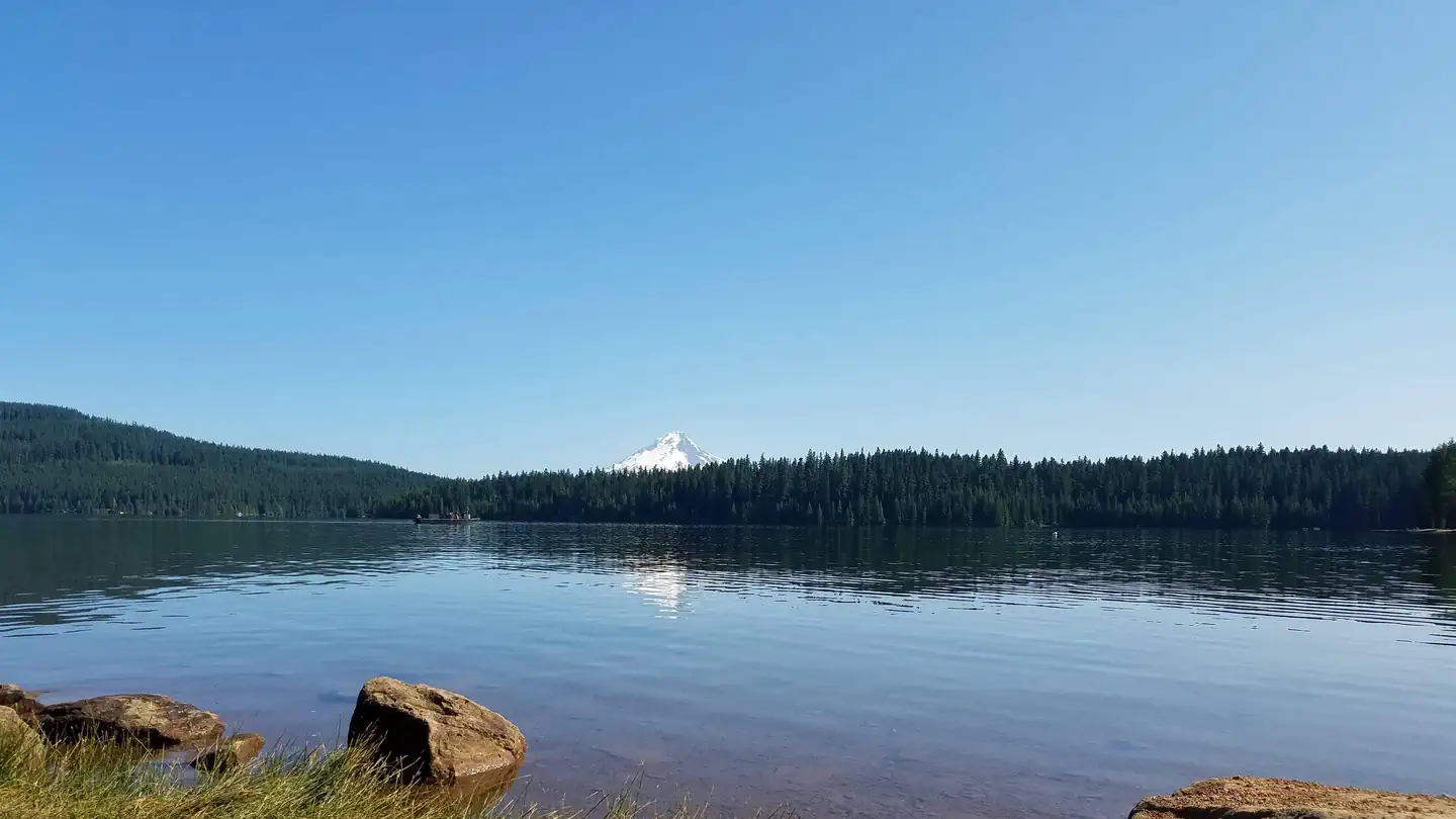 Gone Creek Campground (Timothy Lake, OR) photo