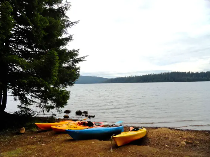 Gone Creek Campground (Timothy Lake, OR) photo 2