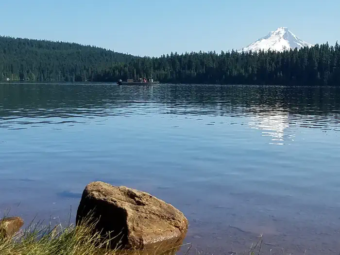 Gone Creek Campground (Timothy Lake, OR) photo 3