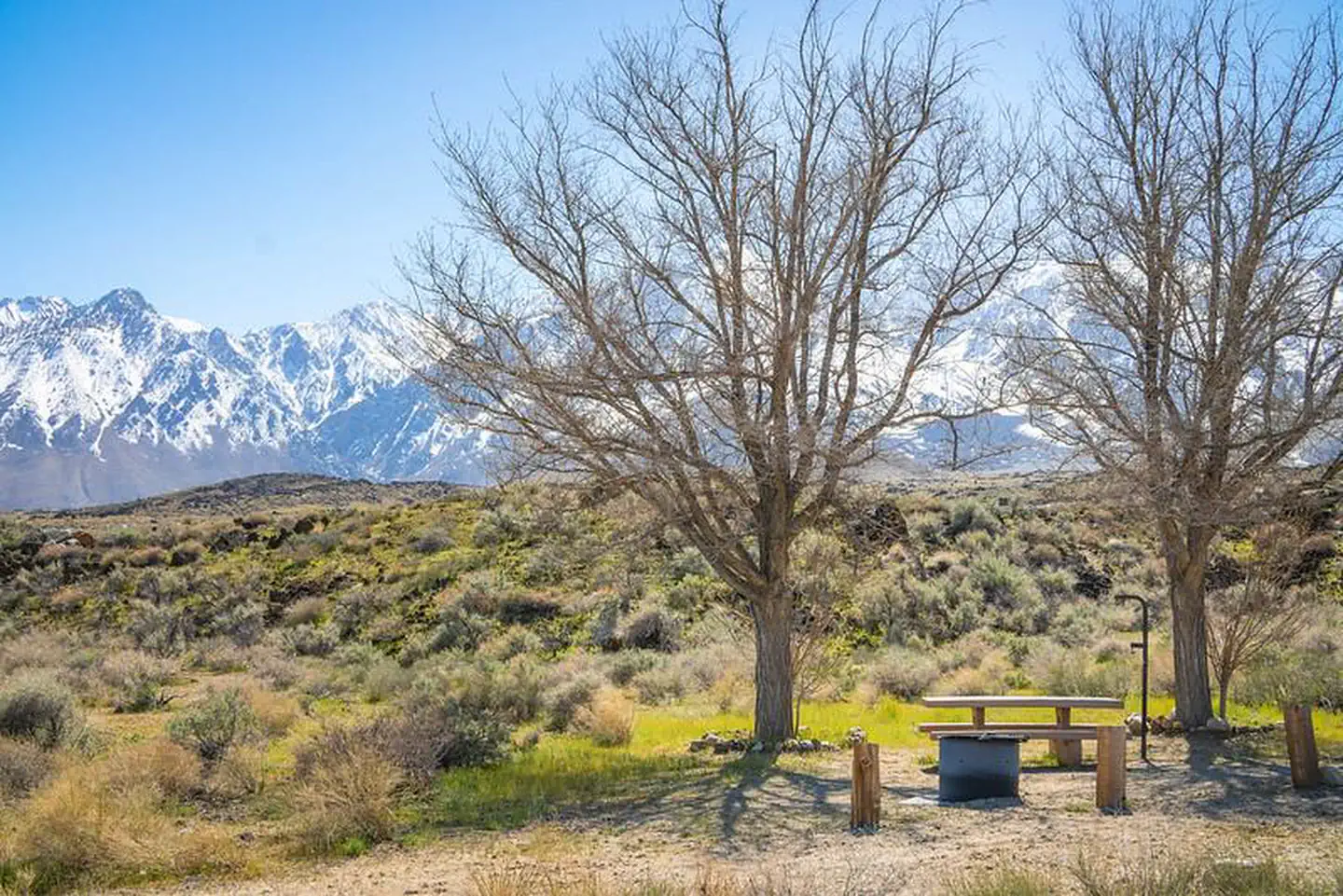 Goodale Creek Campground photo 2