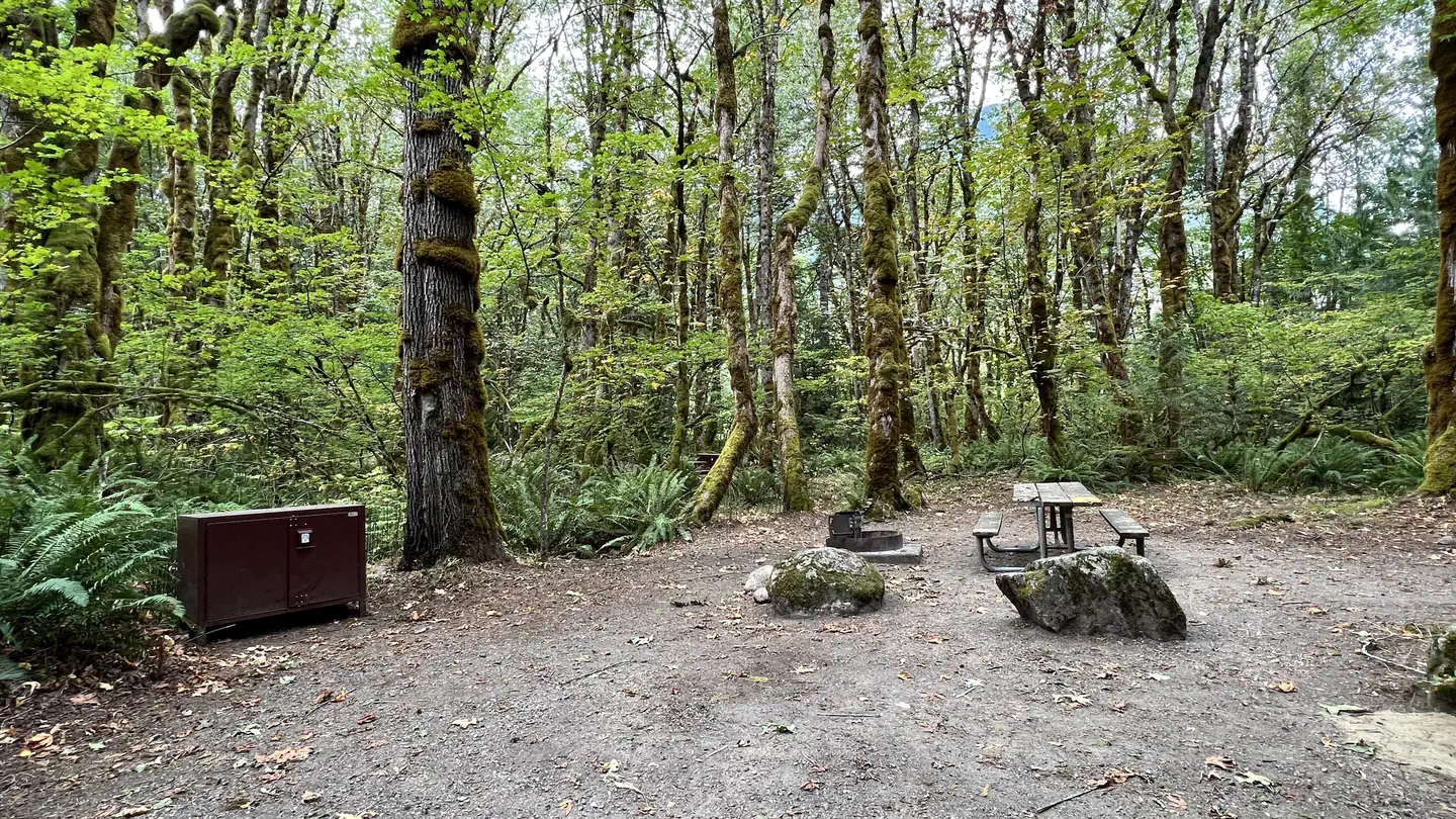 Goodell Creek Campground photo