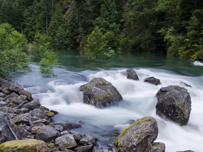 Goodell Creek Campground photo 2