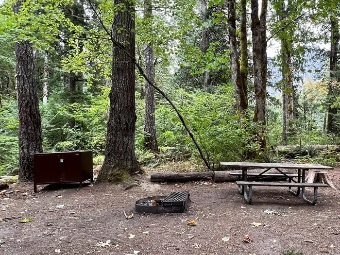 Goodell Creek Campground photo 4