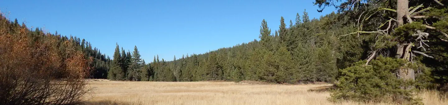 GOOSE MEADOWS photo