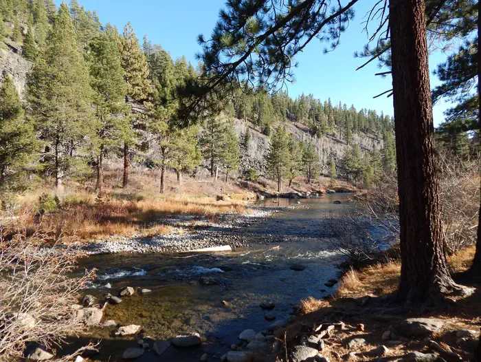 GOOSE MEADOWS photo 2