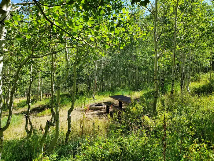Gooseberry Creek Campground photo 2