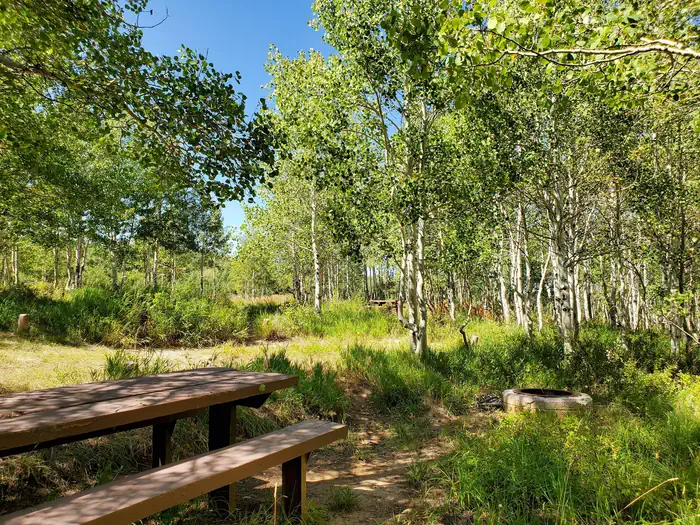 Gooseberry Creek Campground photo 4