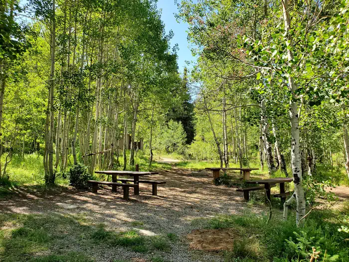 Gooseberry Creek Campground photo 5