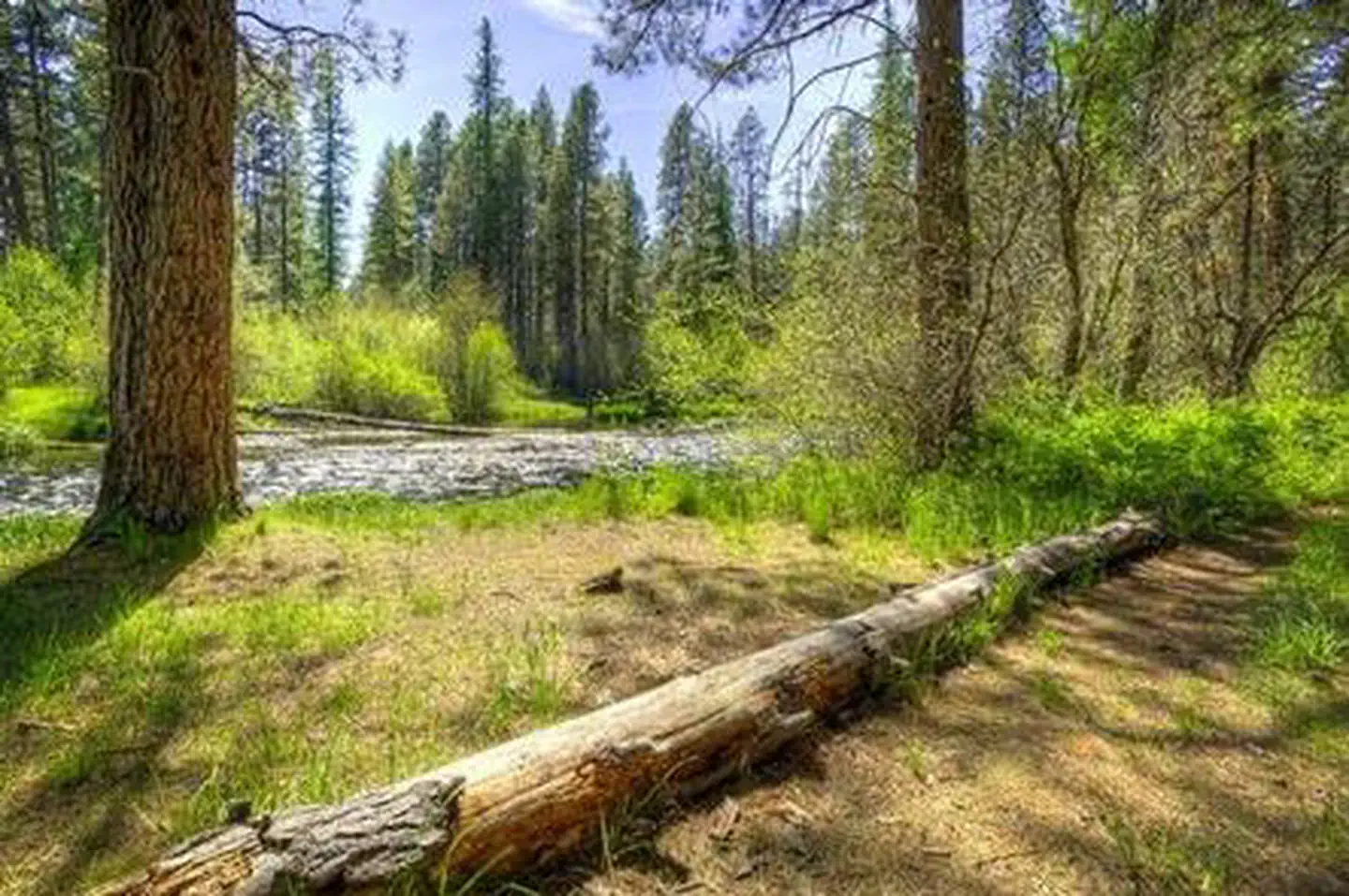 GORGE CAMPGROUND photo