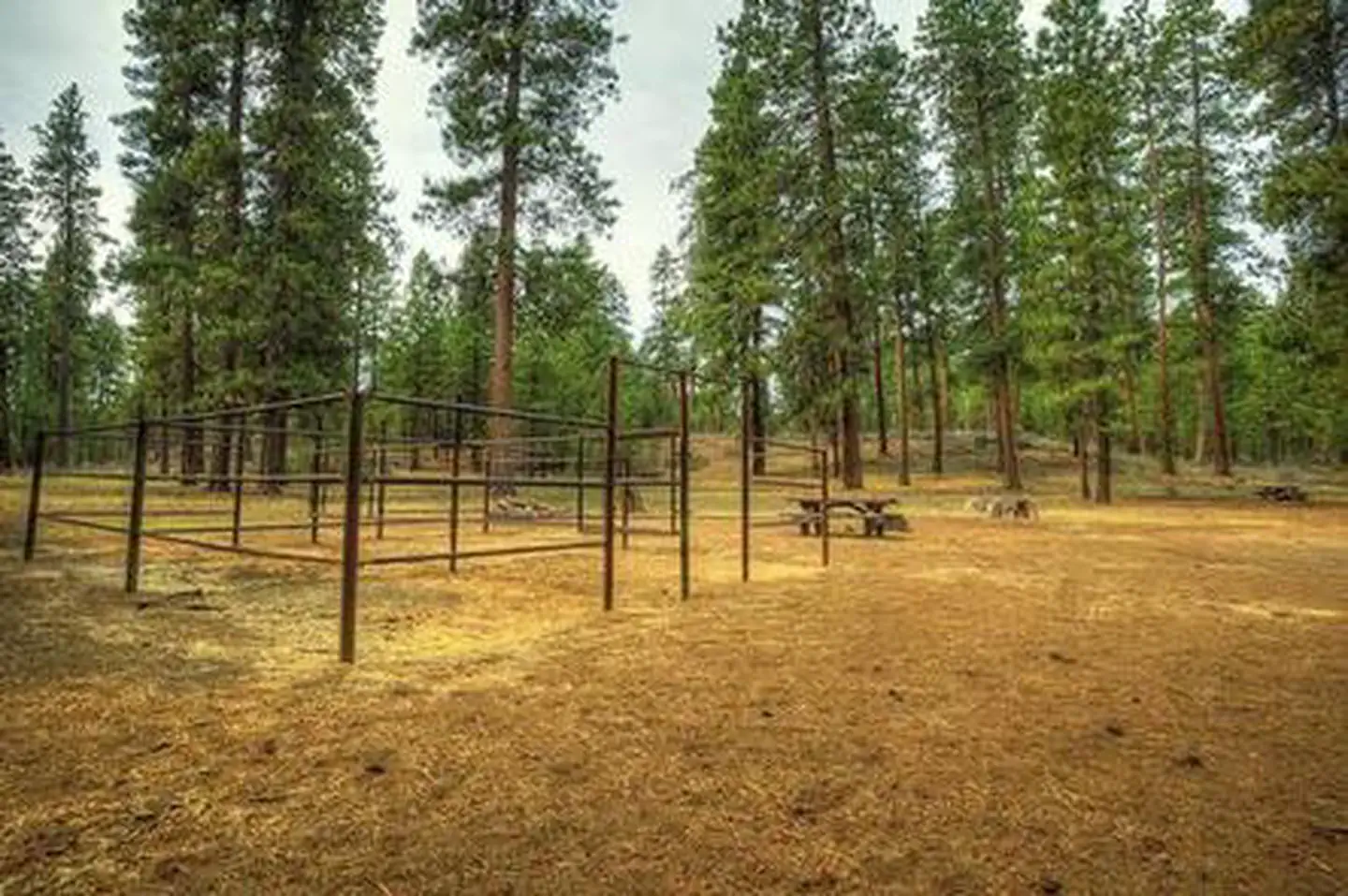 GRAHAM CORRAL HORSE CAMPGROUND photo 3