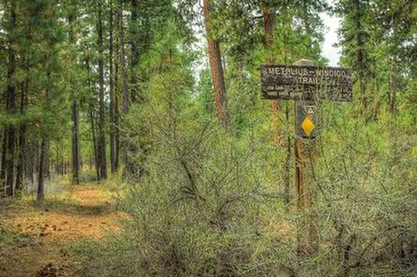 GRAHAM CORRAL HORSE CAMPGROUND photo 4