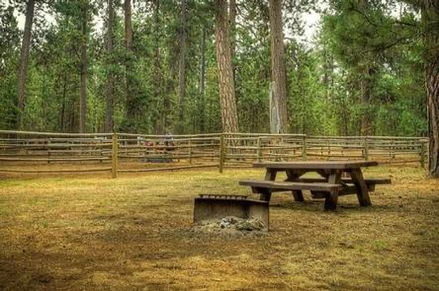 GRAHAM CORRAL HORSE CAMPGROUND photo 5