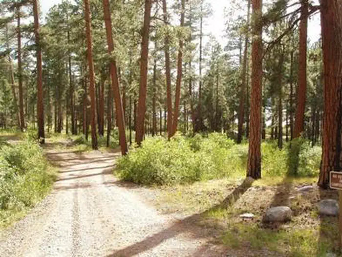 GRAHAM CREEK CAMPGROUND photo 2