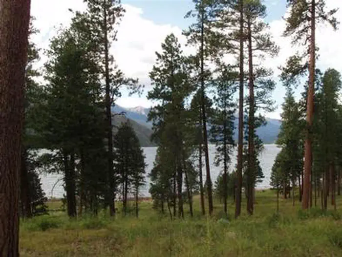 GRAHAM CREEK CAMPGROUND photo 5