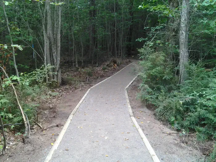 GRAND ISLAND CABINS photo 4