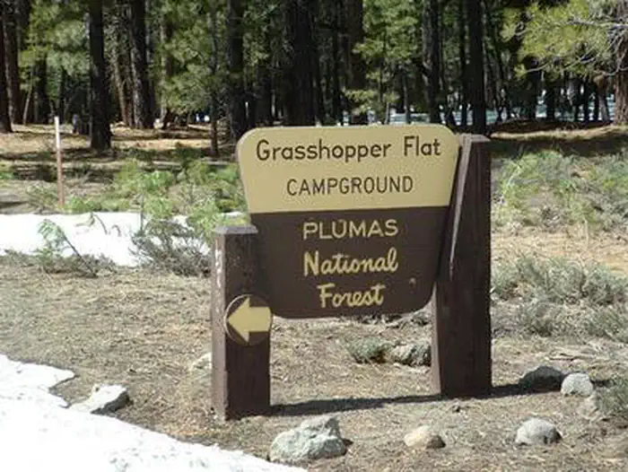 GRASSHOPPER FLAT photo 2