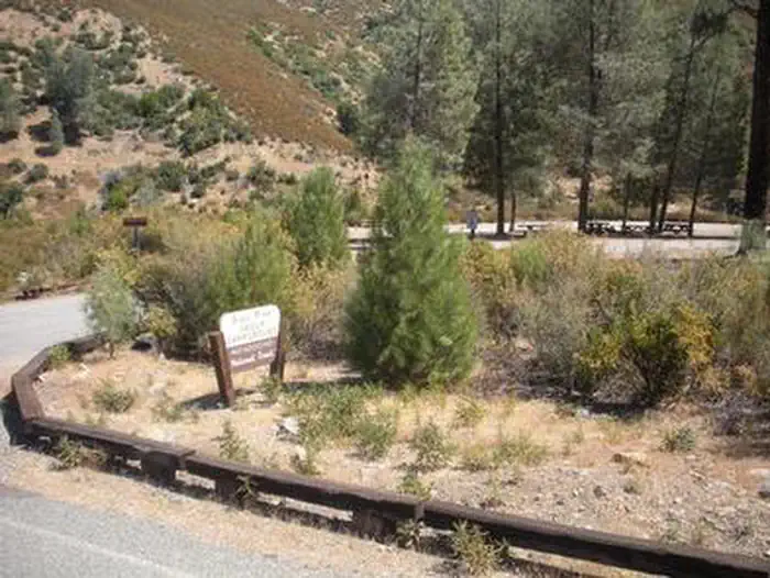GRAY PINE GROUP CAMPGROUND photo