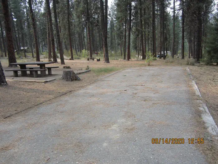 GRAYBACK photo 5