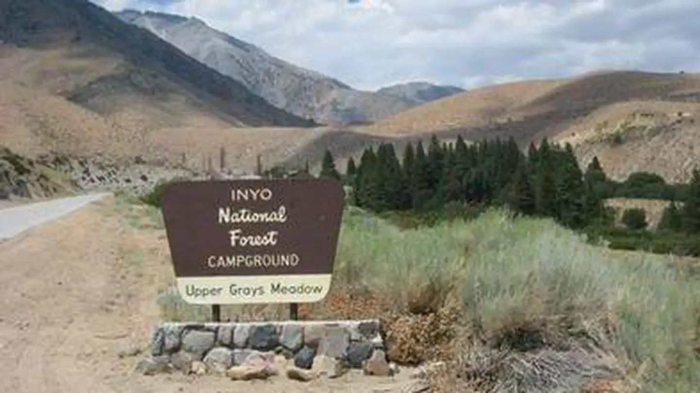 GRAYS MEADOWS photo