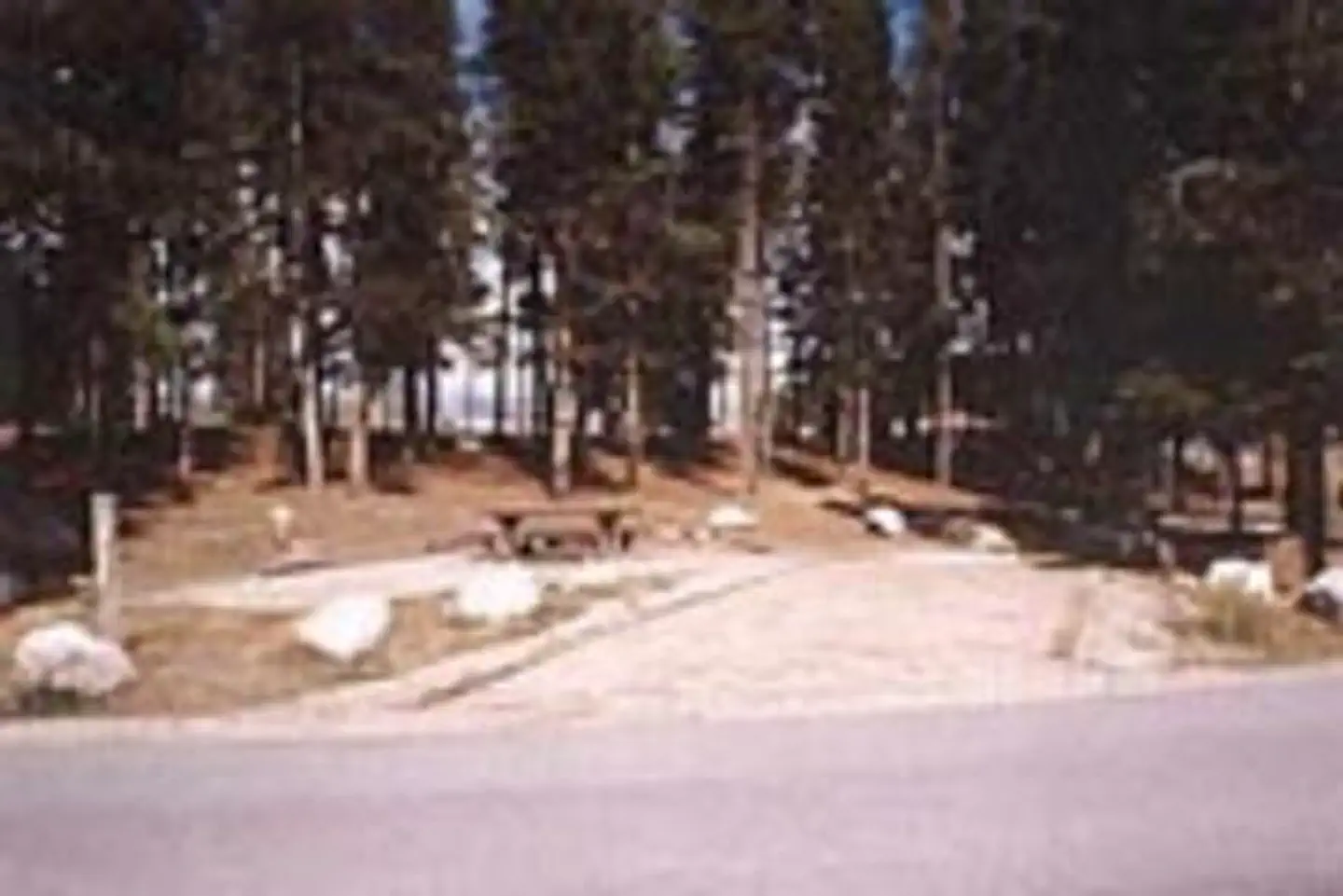 GREEN RIDGE photo 2