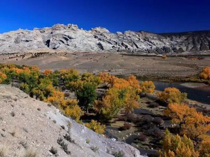 GREEN RIVER CAMPGROUND photo 3