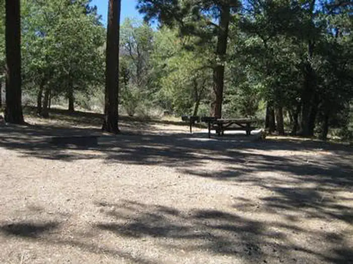 GREEN SPOT EQUESTRIAN GROUP CAMP photo
