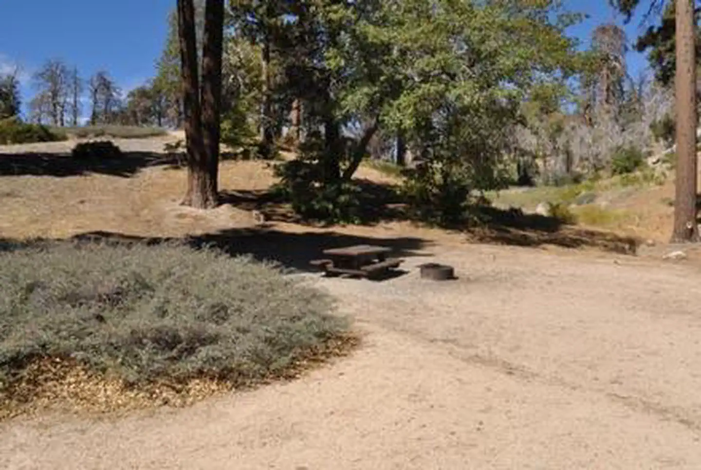 GREEN VALLEY photo 5