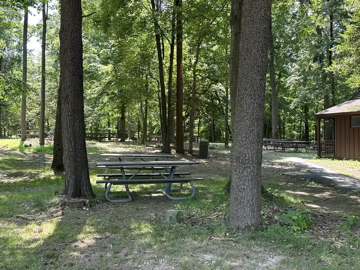 GREENBELT PARK PICNIC AREAS photo 3